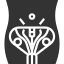 cosmetic gynecology